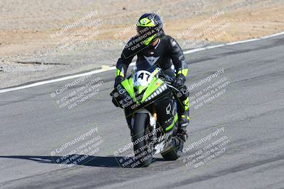 media/Feb-04-2024-SoCal Trackdays (Sun) [[91d6515b1d]]/4-Bowl Backside (11am)/